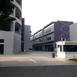 T99 (D22), Factory #503094311